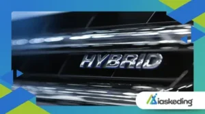 Hybrid cars: discover the alternative and find out if it is worth investing