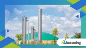 How Bioenergy Is Turning Waste into Sustainable Power