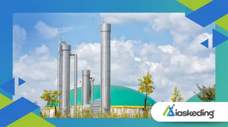 How Bioenergy Is Turning Waste into Sustainable Power