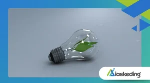 The Truth About Renewable Energy Costs