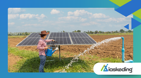 rise of off-grid living with solar power