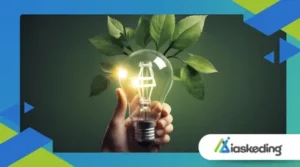 Biomass Energy Explained: How It Works & Its Role in Clean Energy Transition