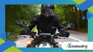 Electric Motorcycle Torque Control on Wet Asphalt Roads