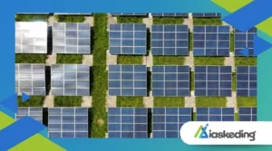 Renewable Energy Clean Energy Supply Chain Reshoring