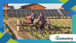 Agrivoltaics Creating New Opportunities for Renewable Energy