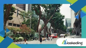 Urban Space Constraints Challenging Electric Transport Expansion
