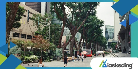 Urban Space Constraints Challenging Electric Transport Expansion