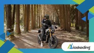 Why Torque Mapping Matters More Than Horsepower in Electric Bikes